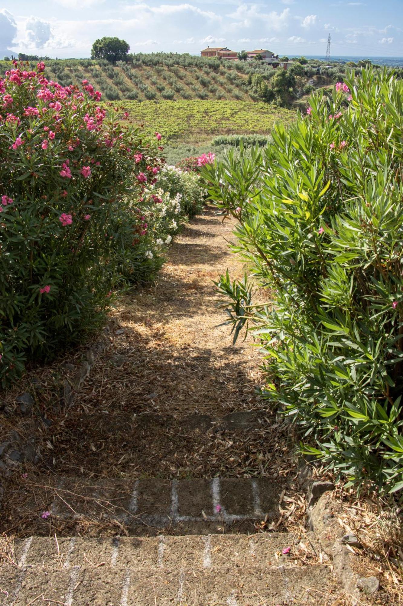 Vigna Luisa Resort - Near Rome Genzano di Roma Exterior photo